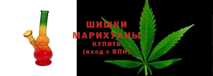 ГАЛЛЮЦИНОГЕННЫЕ ГРИБЫ Абаза